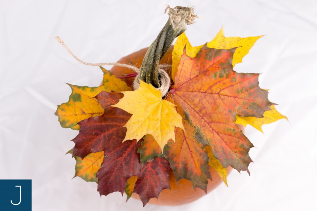 Dyniowe dekoracje - dynia - liście 2 | Justine Crafts